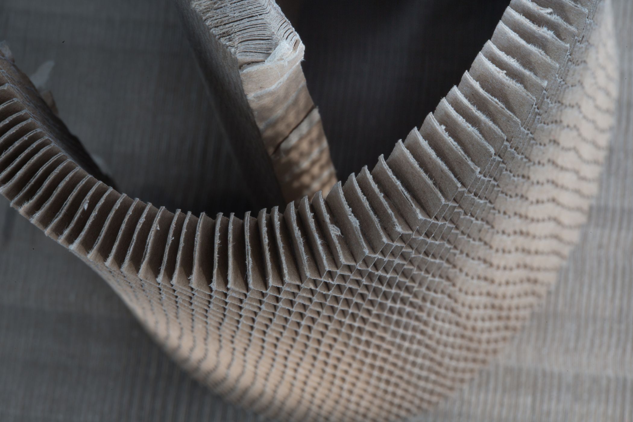 Close-up of a curved, scored corrugated cardboard structure